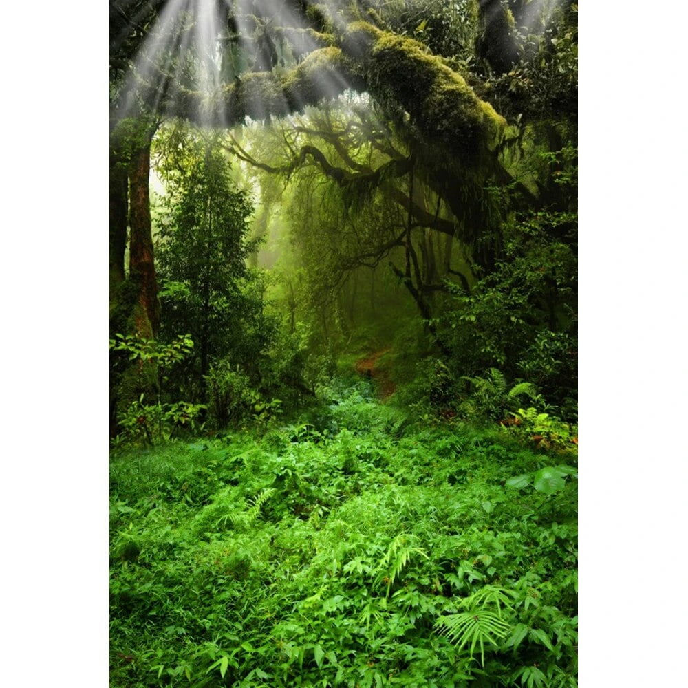 Summer Tropical Forest Landscape Backdrop Photography Adventure Baby ...