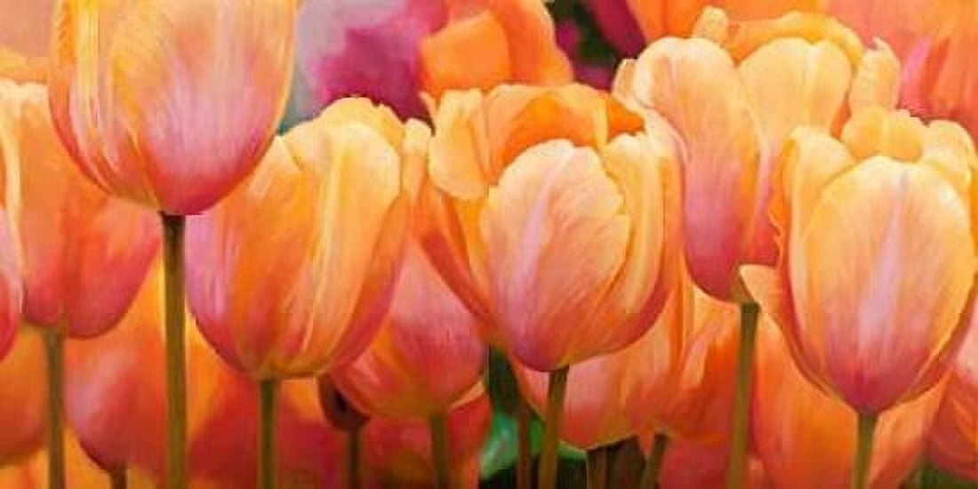 Summer Tulips Canvas Art - Luca Villa (10 x 20)