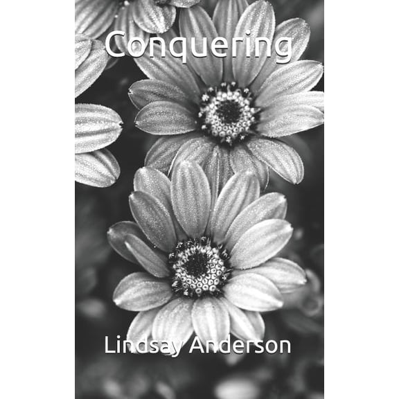 Summer Vacation Files: Conquering (Series #17) (Paperback)