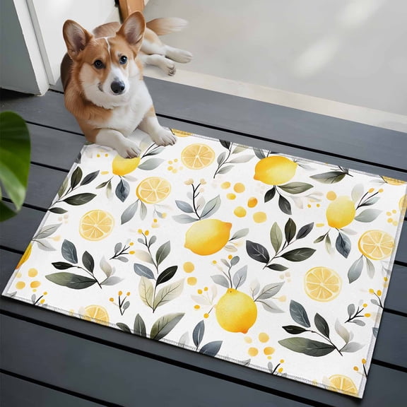 Summer Watercolor 2x3 Area Rugs for Living Room, Lemon Slice Eucalyptus Leaf Fruit Non Slip Floor Mat Washable Low-Profile Indoor Carpet for Bedroom, Dining Room, Bathroom