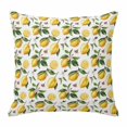 thumbnail image 1 of Summer Watercolor Lemon Throw Pillow Cover Fruit Leaf Texture Cotton Linen Cushion Cover Throw Pillow Case with Invisible Zipper for Couch Sofa Bed Chair Car 16x16 Inch, 1 of 14