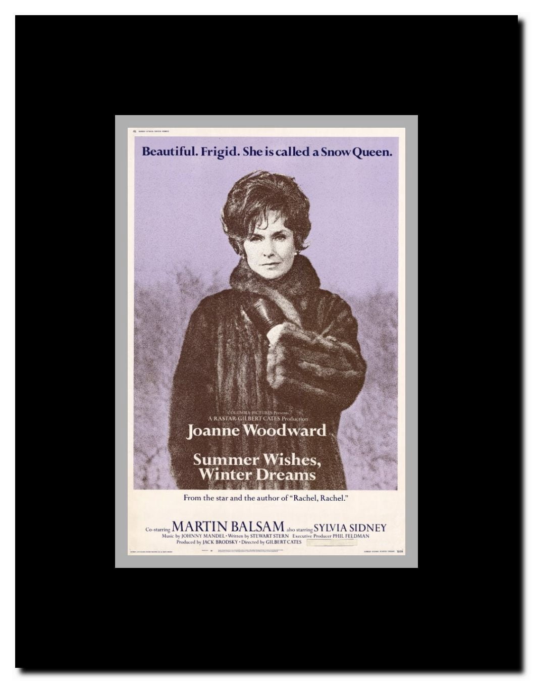 Summer Wishes Winter Dreams Framed Movie Poster