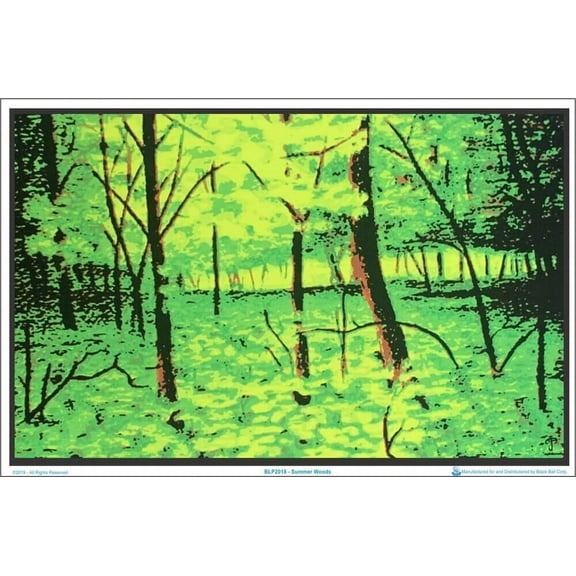 Summer Woods Laminated Blacklight Poster - 35.5" x 23.5"