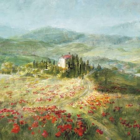 Summer in Provence Canvas Art - Danhui Nai (24 x 24)