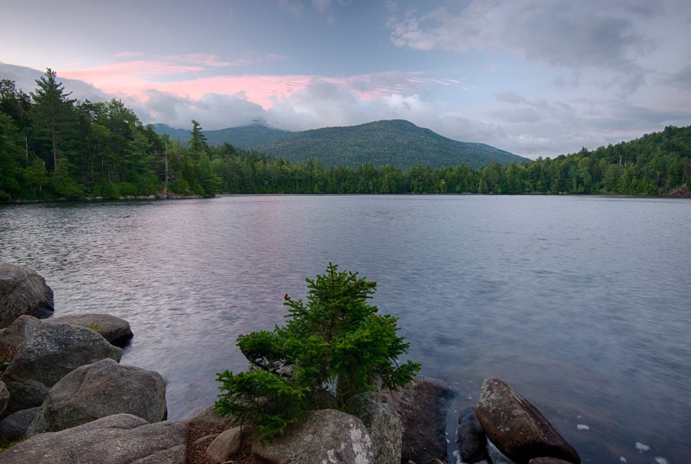 Summer morning on Copperas Pond Adirondack Park New York State USA Canvas Art - Panoramic Images (36 x 12)