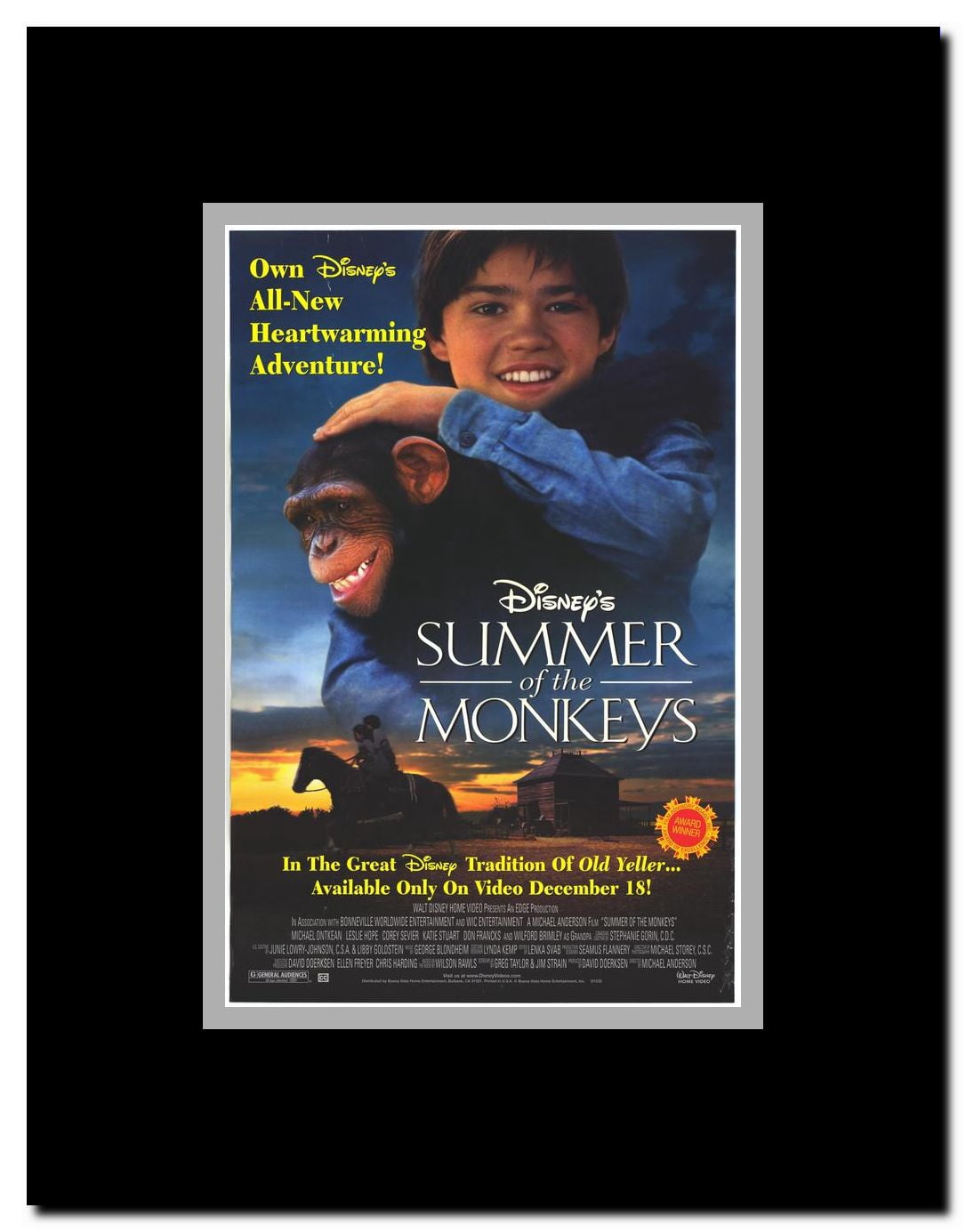 Summer of the Monkeys Framed Movie Poster