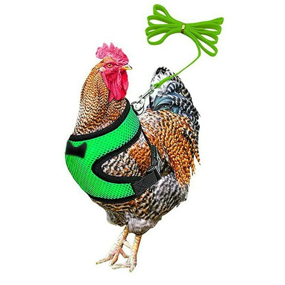 Summercome Adjustable Chicken Harness with Leash, Comfortable Hen Vest, Breathable Mesh Training Harness and Leash, Suit for 2.5-3.6 Lb Duck Goose Hen Small Pets, Green