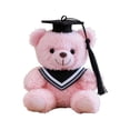 thumbnail image 1 of Summercome Graduation Bear 2026, 6 Inch Mini Graduation Teddybear Graduation Stuffed Animal, Class of 2026 Graduations Gifts for High School College Gift, End of Year Students Gifts (Pink), 1 of 7