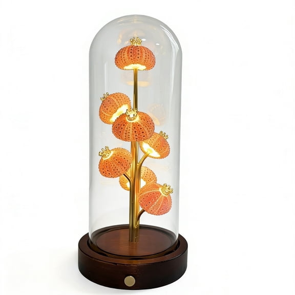 Summercome Sea Urchin Shell Night Light, Rechargeable Wireless Table Lamp with Wooden Base, Dimmable Touch Control Bedside Lamp, Unique Ocean Decor Gift for Women, Nursery, Bedroom