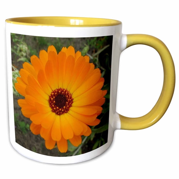 3drose, Summers Bride - Flower, Asteraceae, Birth Flower, Calendula, Flowers, Marigold, Orange, 11oz Two-tone Yellow Mug