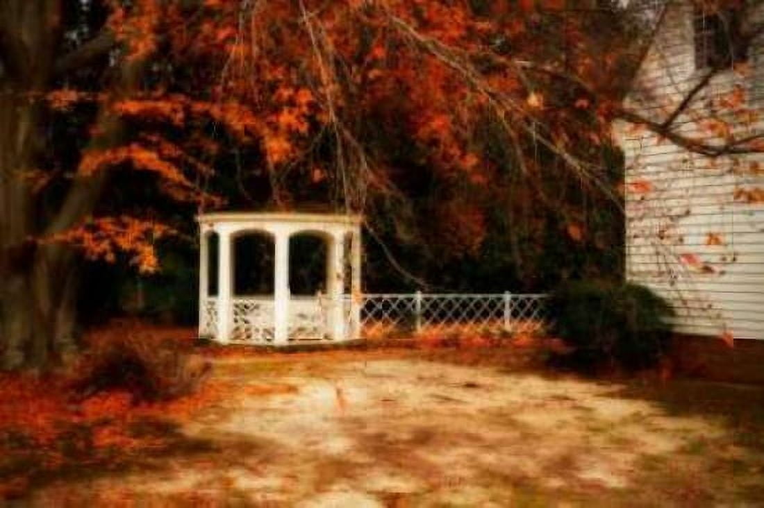 Summers Ending II Canvas Art - Alan Hausenflock (20 x 28)