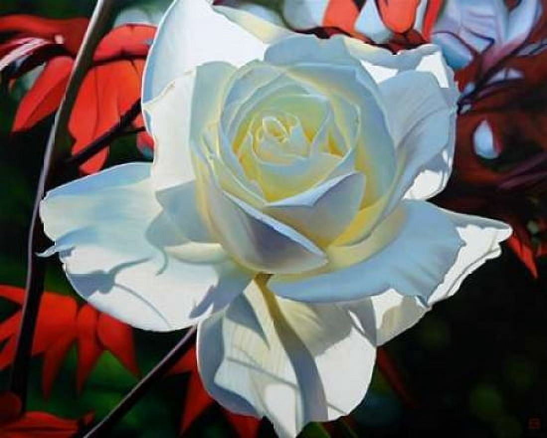 Summers Last Rose Canvas Art - Michael Schuh (24 x 30)