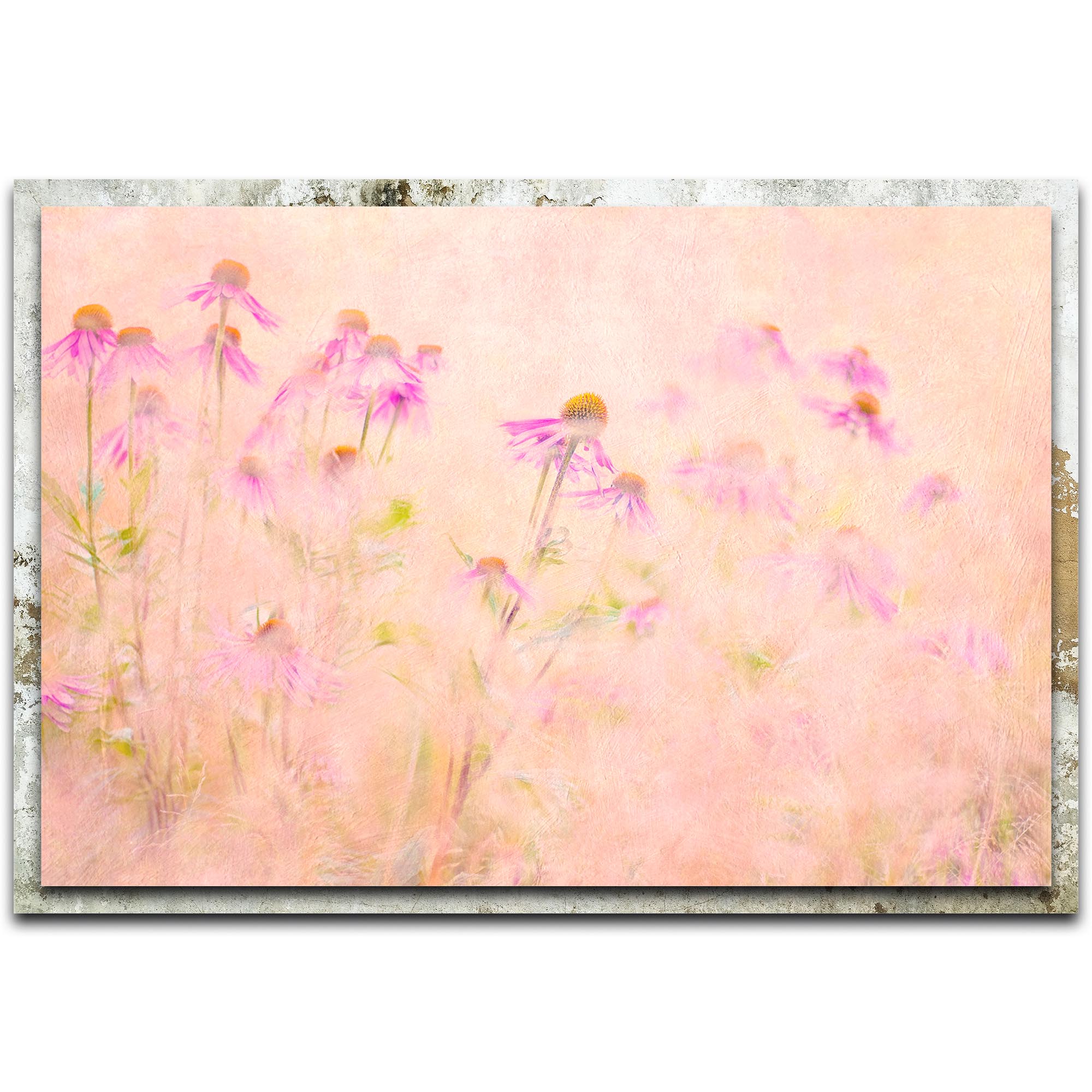 Summertime Distressed Frame