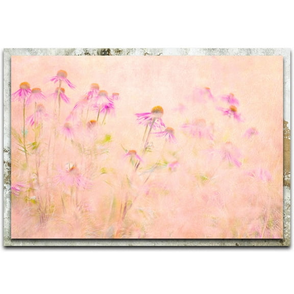 Summertime Distressed Frame