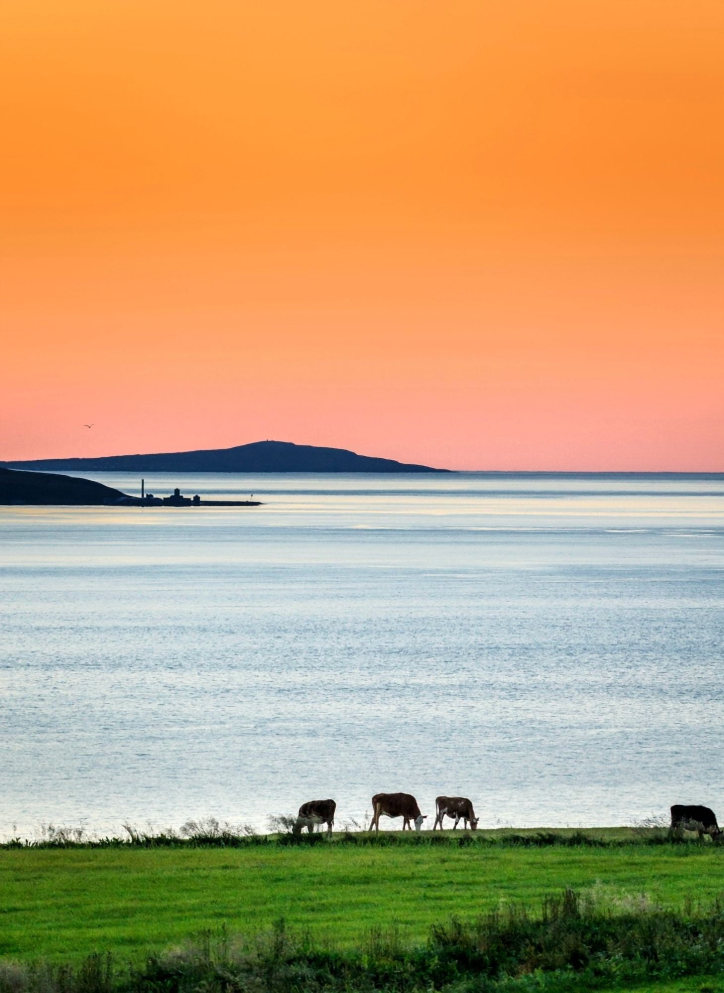 Summertime in Iceland with the midnight sun Iceland Canvas Art - Panoramic Images (27 x 9)