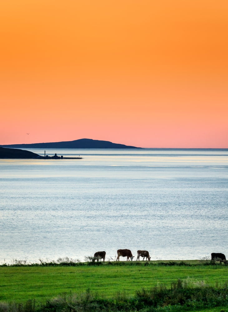 Summertime in Iceland with the midnight sun Iceland Canvas Art - Panoramic Images (36 x 12)
