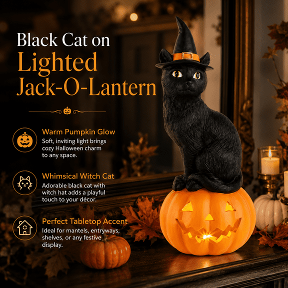 Summerween Black Cat on Lighted Jack-O-Lantern Multicolor Illuminated Pumpkin Decoration Requiring 3 AAA Batteries with Repeating Timer for Home Decor