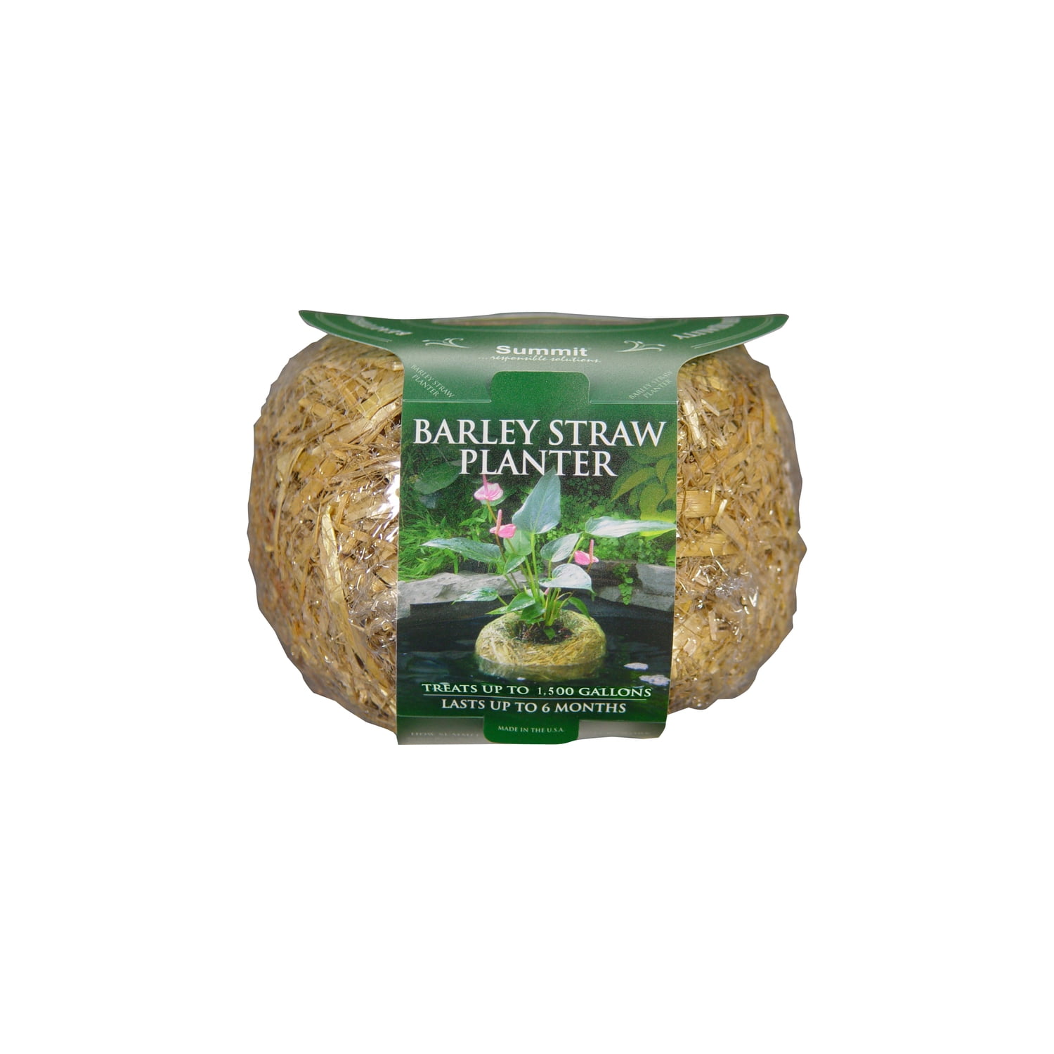 Barley straw pond best sale treatment