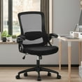 thumbnail image 1 of Summit Living Ergonomic Mesh Home Office Chair,High Back Computer Desk Chair with Flip-up Armrests, Height Adjustable Lumbar Support, Black, 1 of 10