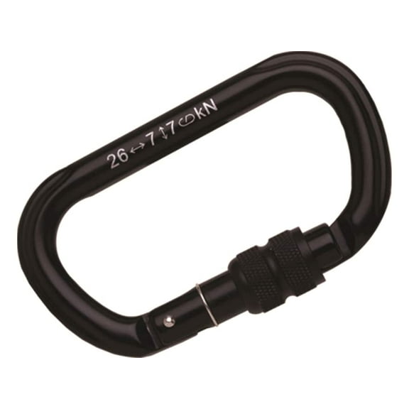 Summit Locking Carabiner