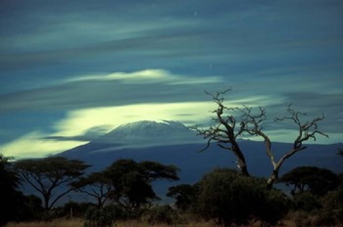 Summit of Mount Kilimanjaro Amboseli National Park Kenya Canvas Art - Paul Souders DanitaDelimont (18 x 12)