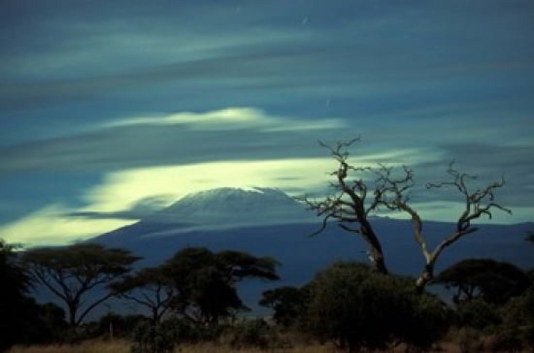 Summit of Mount Kilimanjaro Amboseli National Park Kenya Canvas Art - Paul Souders DanitaDelimont (36 x 24)