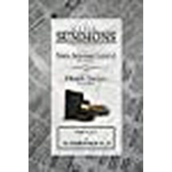 Summons: In the Case of Attorney General V. Church Trustees Part 1 of 1: How Trustees Actually Contribute to Church Lawsuits (Paperback)