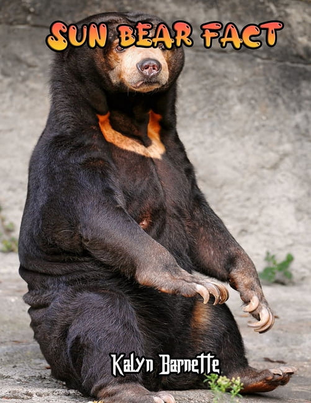Sun Bear Fact : SUN BEAR fact for girl age 1 10 SUN BEAR fact for boy age 1 10 facts about all about SUN BEAR (Paperback)