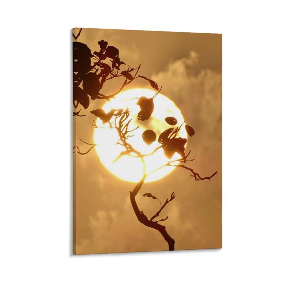 Sun Behind Tree Branches, Dramatic Sky Canvas Art with Frame, 12x8 in