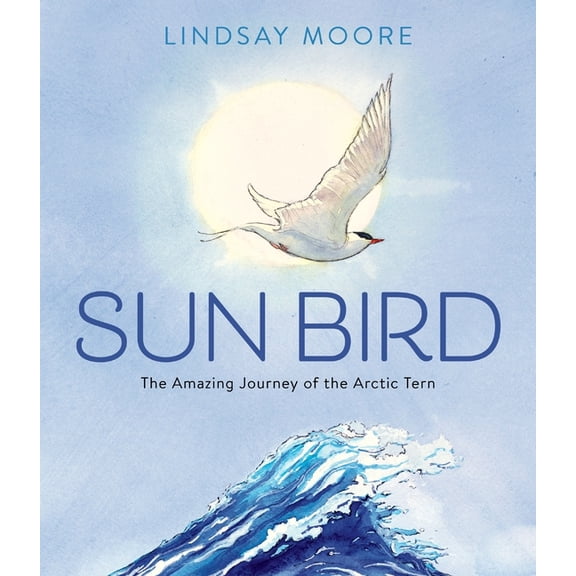 Sun Bird: The Amazing Journey of the Arctic Tern, (Hardcover)
