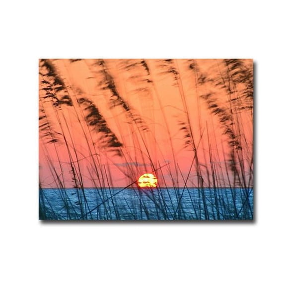 Sun Dance by Steve Vaughn Premium Oversize Gallery-Wrapped Canvas Giclee Art - Ready to Hang, 30 x 40 x 1.5 in.