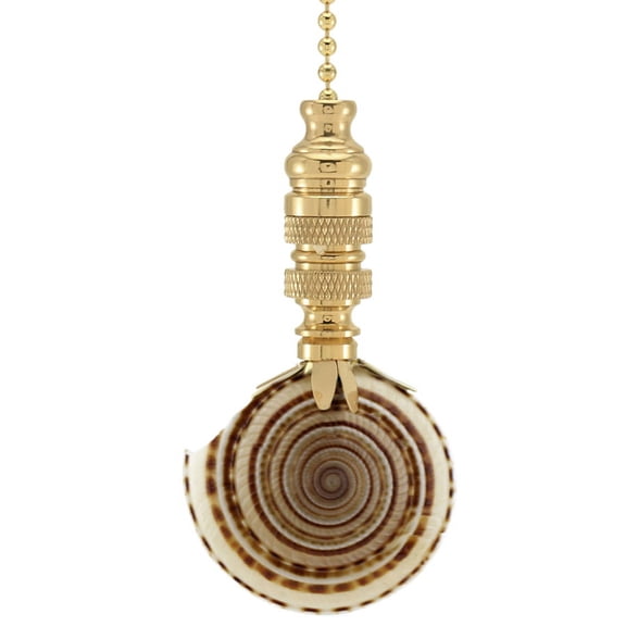 Sun Dial Sea Shell Fan Pull 3"h