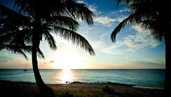 Sun Downer Canvas Art - Susan Bryant (24X36)