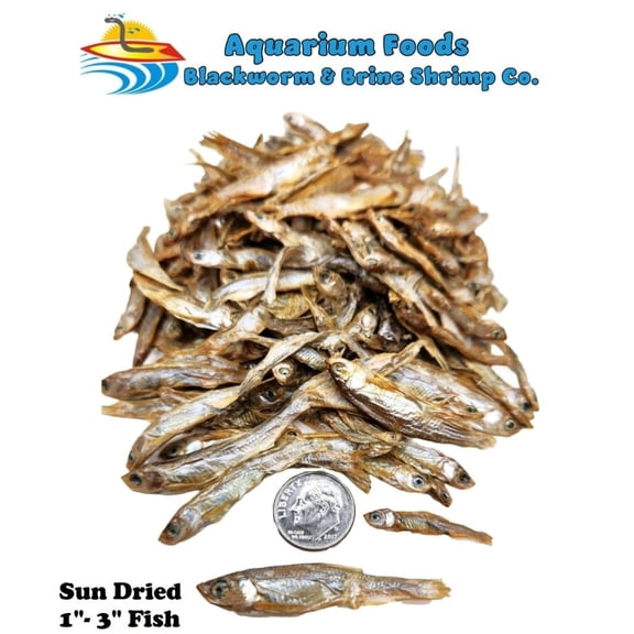 Sun Dried Fish 1-3- Tropical Fish, Marine Fish, Koi Fish, Turtles...4oz
