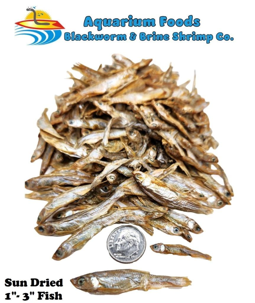 Sun Dried Fish 1-3- Tropical Fish, Marine Fish, Koi Fish, Turtles...8oz