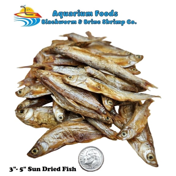 Sun Dried Fish 3-5- Tropical Fish, Marine Fish, Koi Fish, Turtles...3-lb