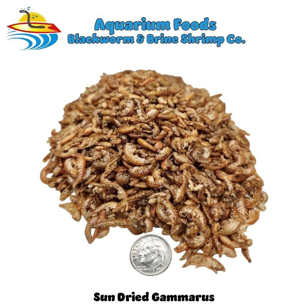 Sun Dried Gammarus - Turtles, Reptile, Chickens, Birds, Large Fish, Ponds...3-lb
