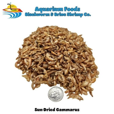 Sun Dried Gammarus - Turtles, Reptile, Chickens, Birds, Large Fish, Ponds...8oz