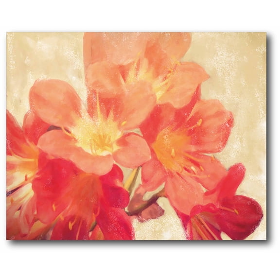 Sun Fire Florals Gallery-Wrapped Canvas Wall Art, 16x20