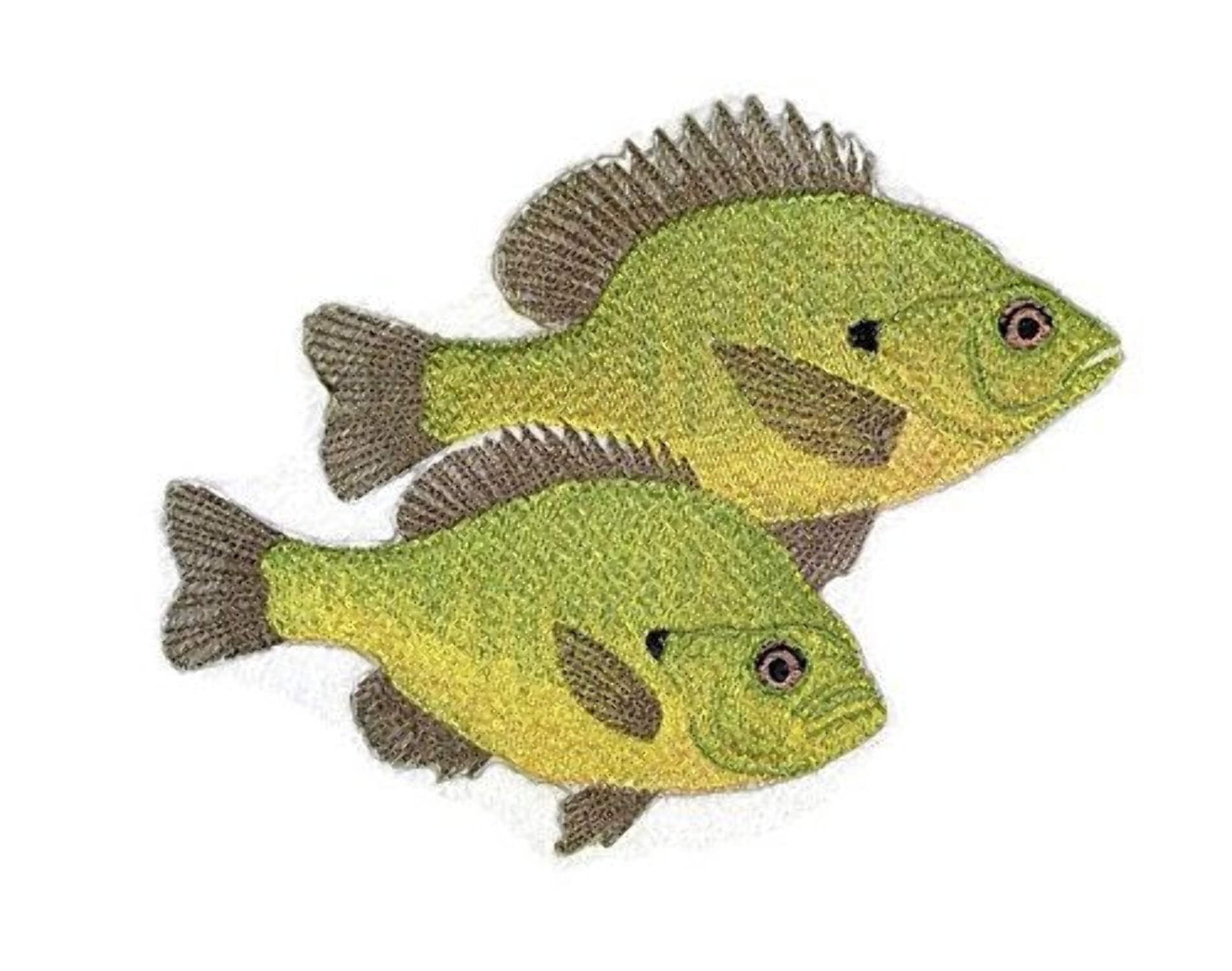 BeyondVision Nature's Bounty Beautiful Custom Fish Portraits [ Sun Fish ] Embroidered Iron On/Sew Patch (7" x 5.5") Made in USA