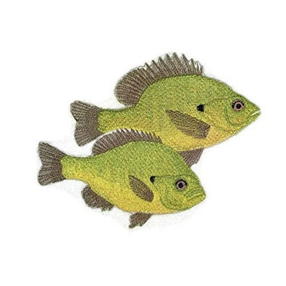 BeyondVision Nature's Bounty Beautiful Custom Fish Portraits [ Sun Fish ] Embroidered Iron On/Sew Patch (7" x 5.5") Made in USA