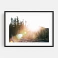 thumbnail image 1 of Sun Flare - Photography Forest Nature Landscape Wilderness Woodland Scenic Black Framed Wall Art Print 16 x 24 inches, 1 of 4