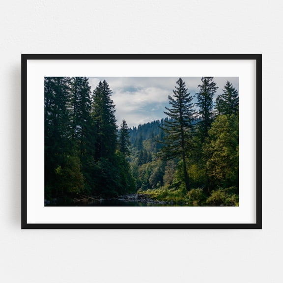 Sun-Kissed River Bend - Washougal Washington Photography Forest Nature Wilderness Scenic Woodland Landscape Woods Black Framed Wall Art Print 20 x 30 inches