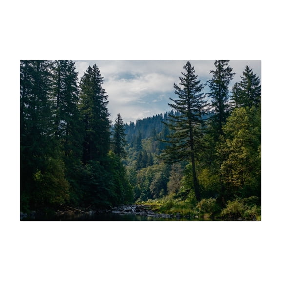 Sun-Kissed River Bend - Washougal Washington Photography Forest Nature Wilderness Scenic Woodland Landscape Woods Unframed Wall Art Print 4 x 6 inches
