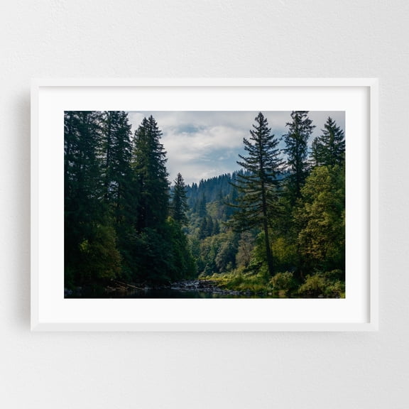 Sun-Kissed River Bend - Washougal Washington Photography Forest Nature Wilderness Scenic Woodland Landscape Woods White Framed Wall Art Print 5 x 7 inches
