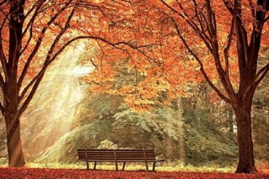 Sun Never Set Canvas Art - Lars Van de Goor (12 x 18)