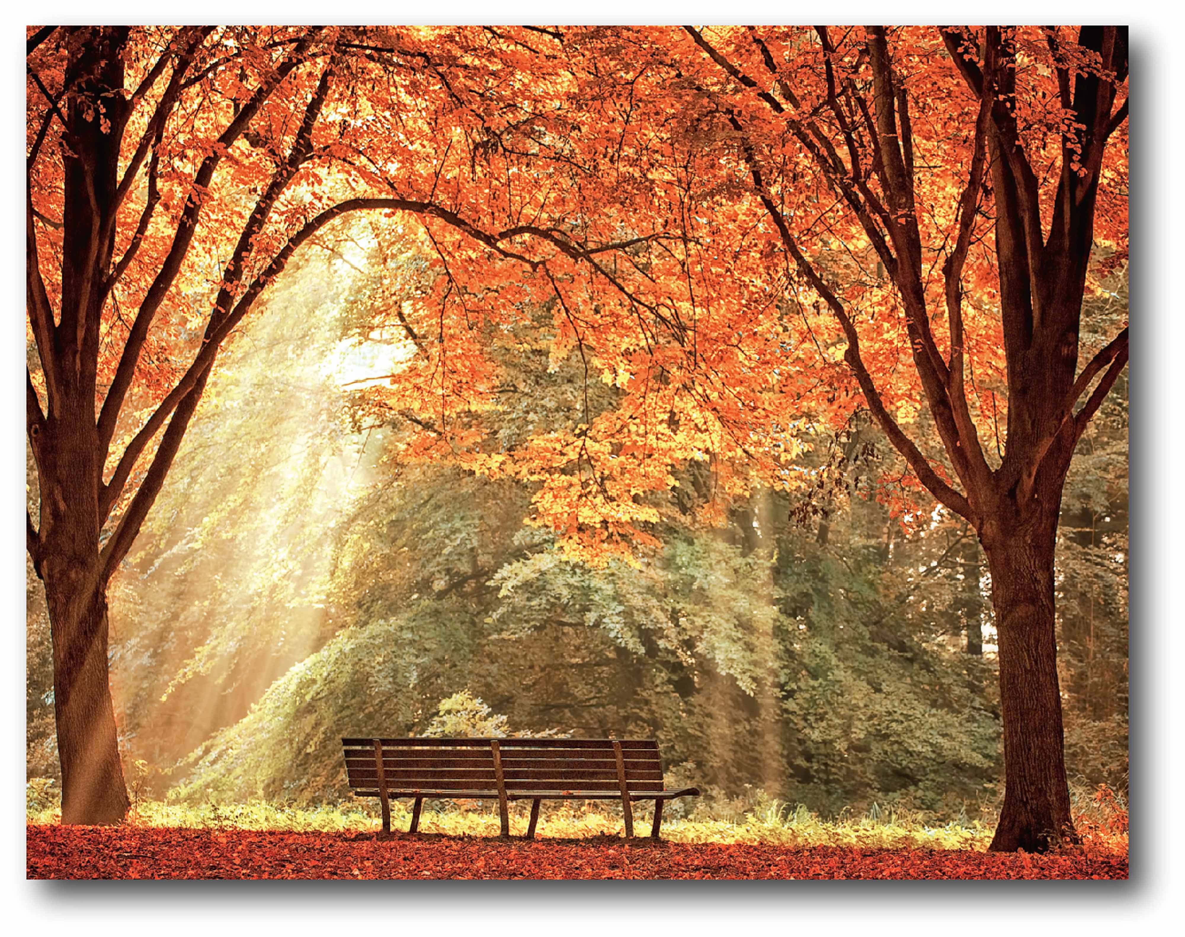 Sun Never Set Gallery-Wrapped Canvas Wall Art, 16x20