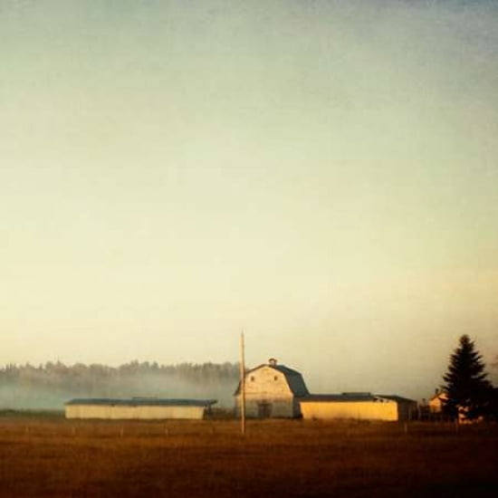 Sun On The Barn Canvas Art - Roberta Murray (24 x 24)