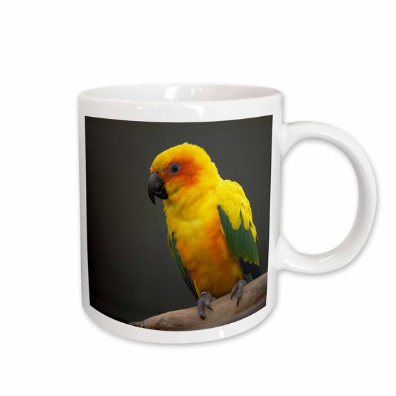 3drose, Sun Parakeet in Aviary, Timaru, South Canterbury, New Zealand., 11oz Mug