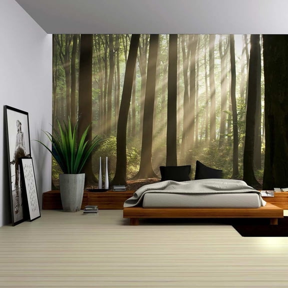 Sun Peaking Through The Trees in a Forest - Wall Mural - 100x144 inches